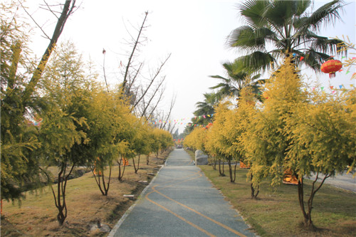 春节去哪儿？别犹豫了，郫县“天府花都”年宵灯会马上开灯啦！！ (图6)