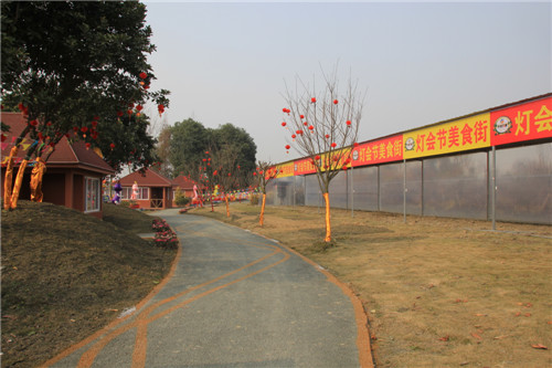 春节去哪儿？别犹豫了，郫县“天府花都”年宵灯会马上开灯啦！！ (图8)