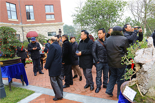 迎春花卉盆景博览会在邛崃开幕 (图7)