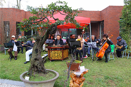 迎春花卉盆景博览会在邛崃开幕 (图10)