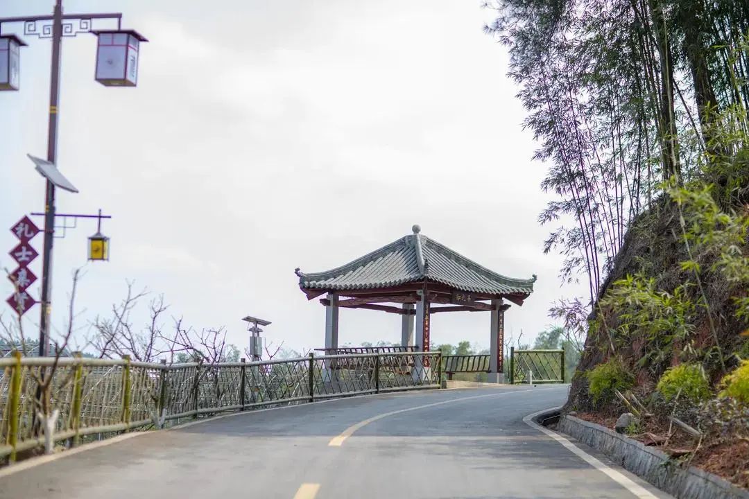 我会张昌余顾问受邀胜天红岩山风景区考察 (图14)