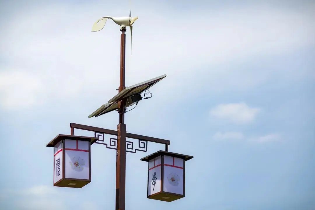 我会张昌余顾问受邀胜天红岩山风景区考察 (图13)