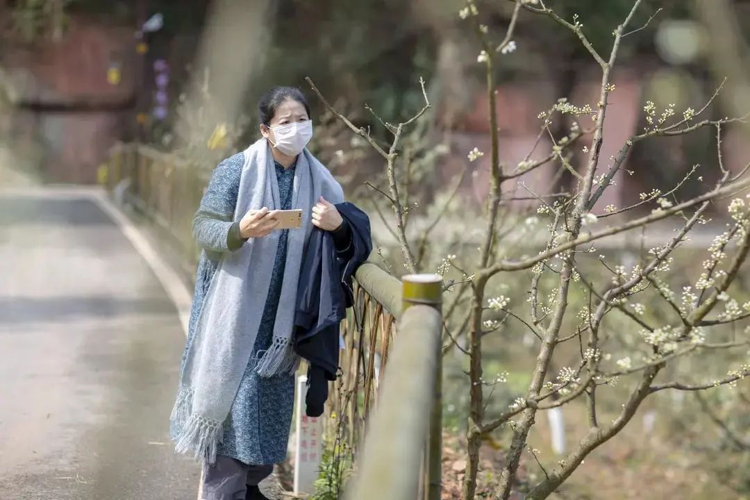 我会张昌余顾问受邀胜天红岩山风景区考察 (图18)