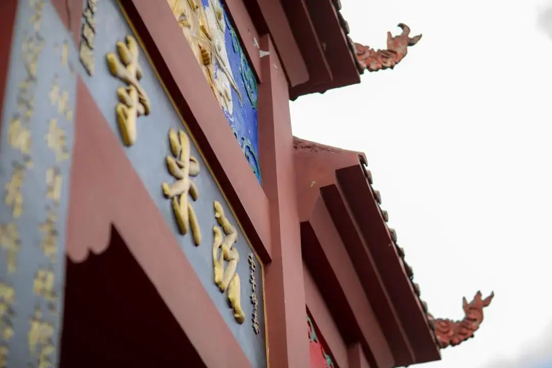 我会张昌余顾问受邀胜天红岩山风景区考察 (图21)