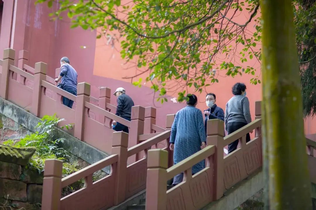 我会张昌余顾问受邀胜天红岩山风景区考察 (图23)