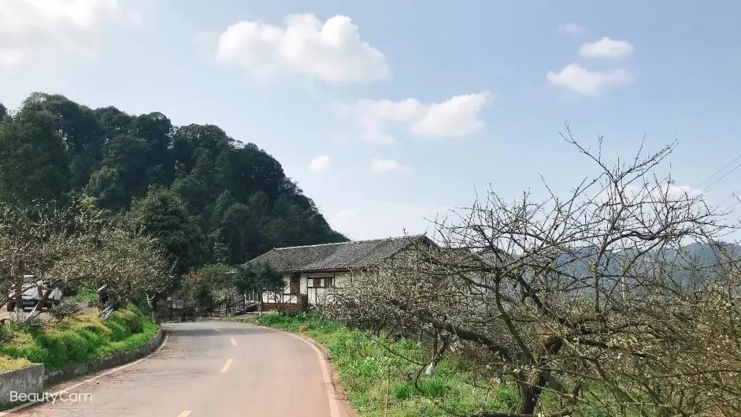 我会张昌余顾问受邀胜天红岩山风景区考察 (图33)