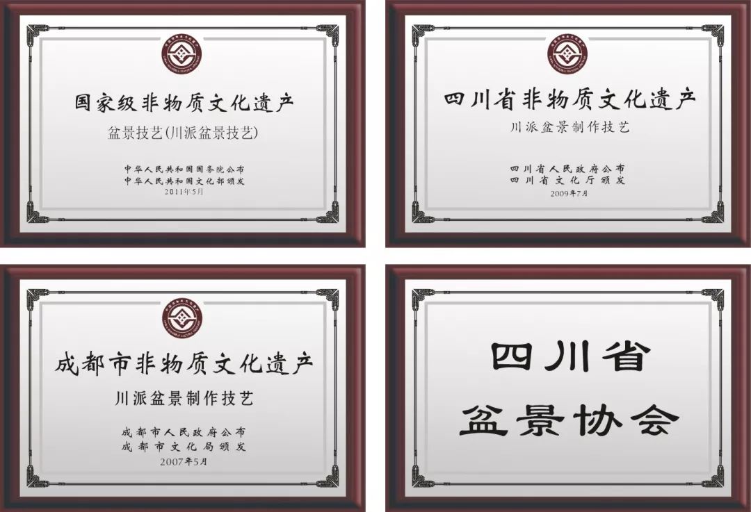 传承发展写新篇 群星荟萃庆新年(图97)