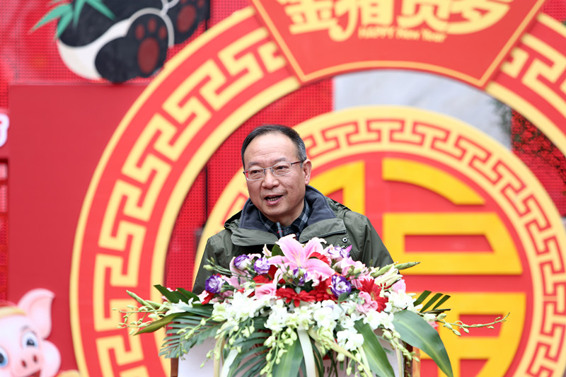 买全川 卖全球2019新春欢乐购(图8)