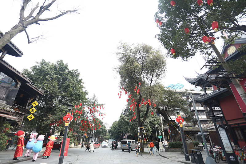 买全川 卖全球2019新春欢乐购(图37)