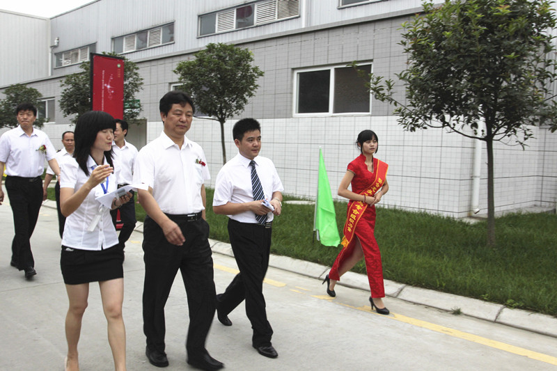 丰丰集团十周年庆典(图11)