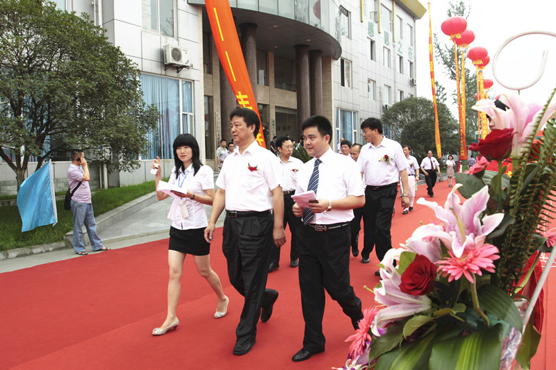 丰丰集团十周年庆典(图9)