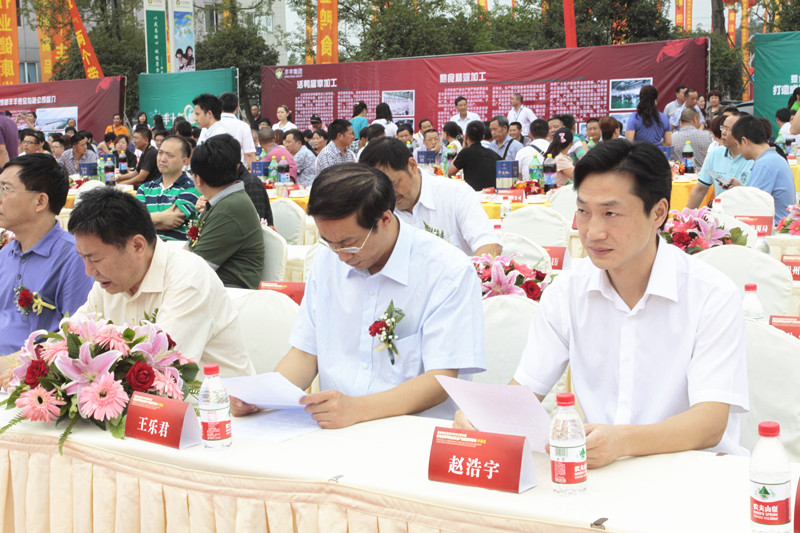 丰丰集团十周年庆典(图14)