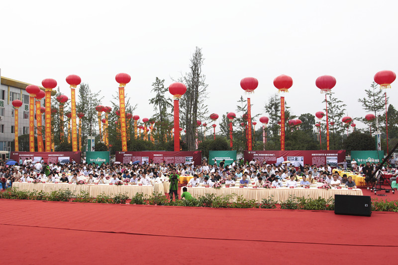 丰丰集团十周年庆典(图21)
