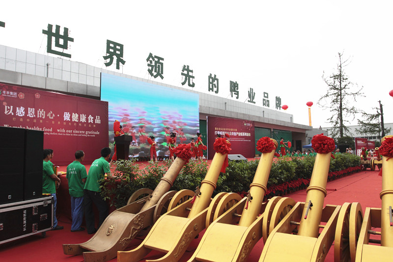 丰丰集团十周年庆典(图18)