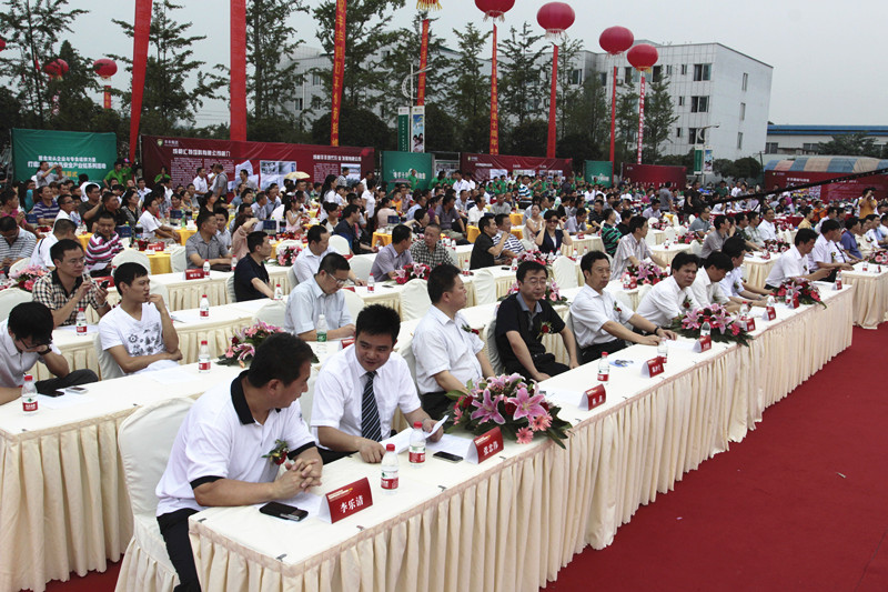 丰丰集团十周年庆典(图19)