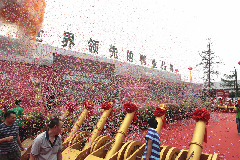 丰丰集团十周年庆典(图27)