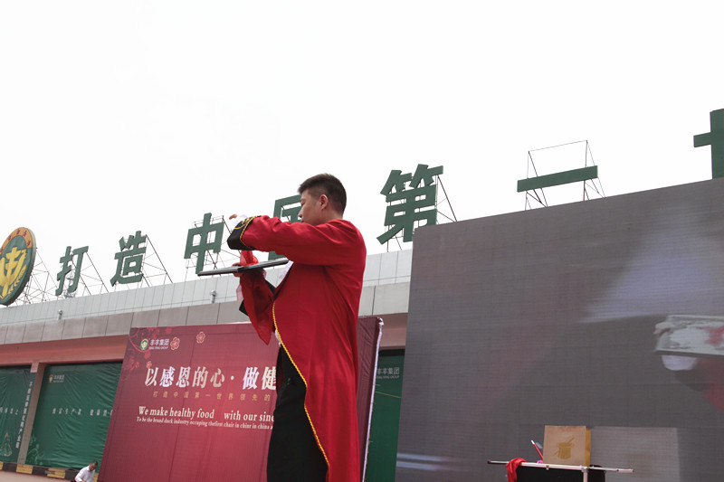 丰丰集团十周年庆典(图32)