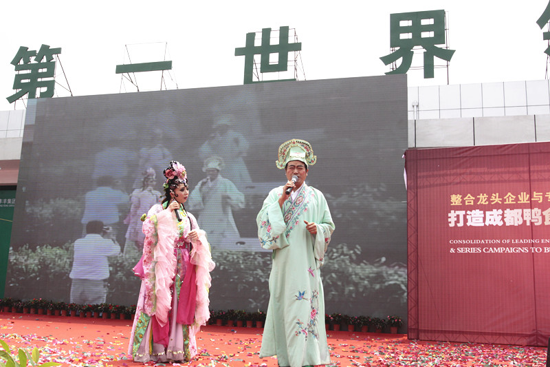 丰丰集团十周年庆典(图31)