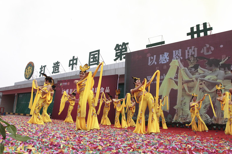 丰丰集团十周年庆典(图29)