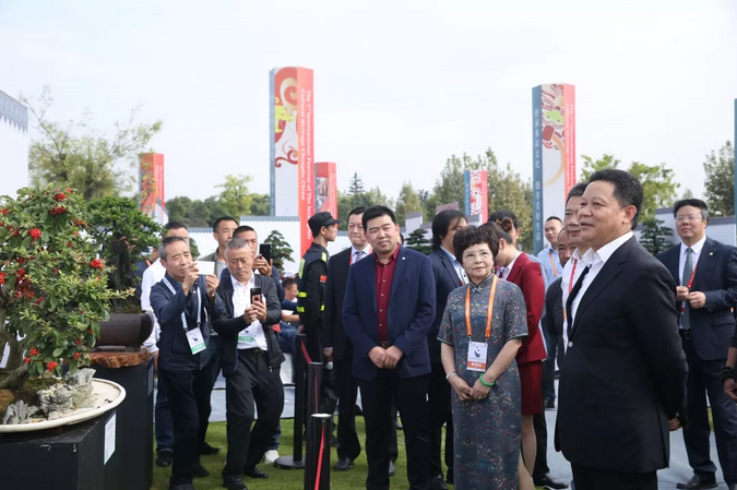 四川省副省长杨兴平参观“国际非遗节”川派盆景展  (图3)