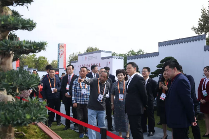 四川省副省长杨兴平参观“国际非遗节”川派盆景展  (图4)