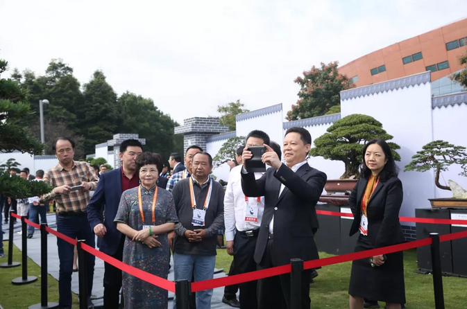 四川省副省长杨兴平参观“国际非遗节”川派盆景展  (图5)