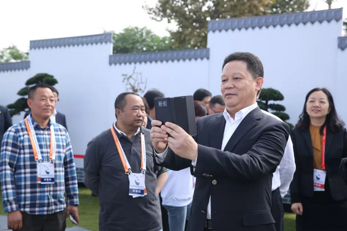 四川省副省长杨兴平参观“国际非遗节”川派盆景展  (图7)