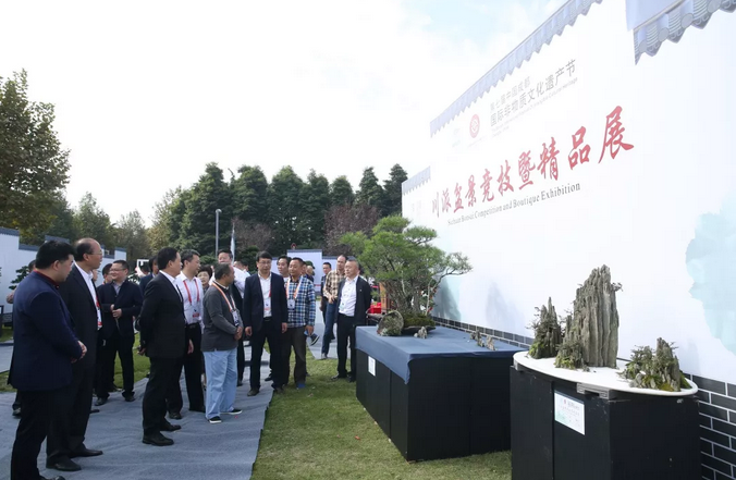 四川省副省长杨兴平参观“国际非遗节”川派盆景展  (图8)
