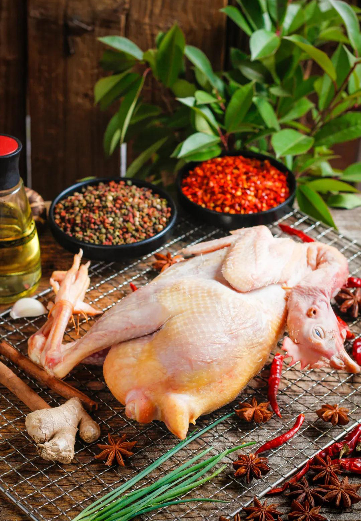 川味中国馆——凉拌鸡块，必备的夏日伴侣(图3)