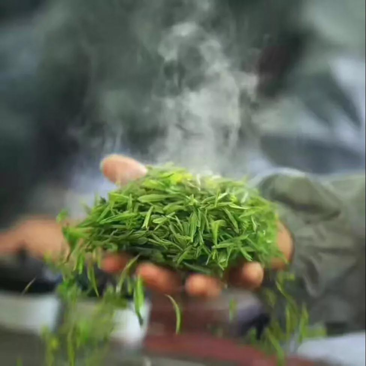 川味中国馆——蒙顶甘露，小众川茶也很别致(图8)