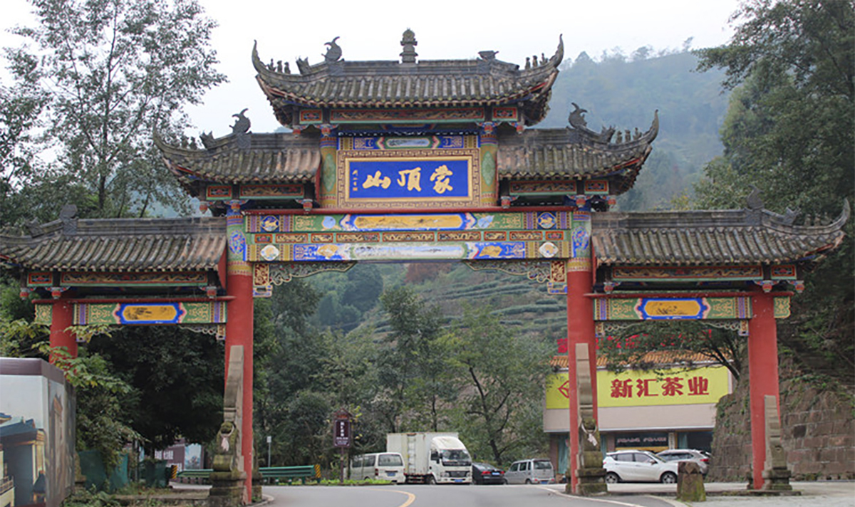 川味中国馆——蒙顶甘露，小众川茶也很别致(图4)