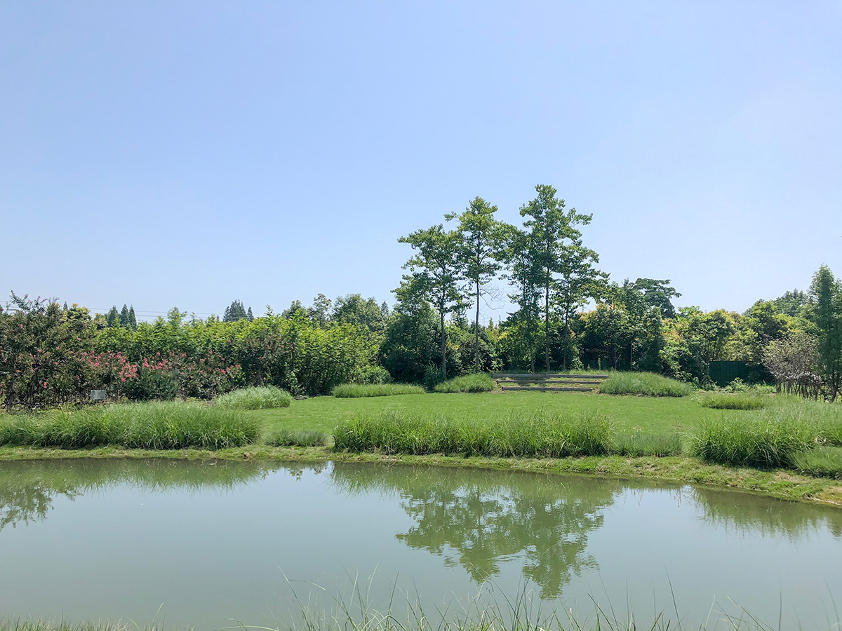 情浓故里 乡情共享 || 成都江油在外人才联谊会刘典华会长出行考察调研(图13)