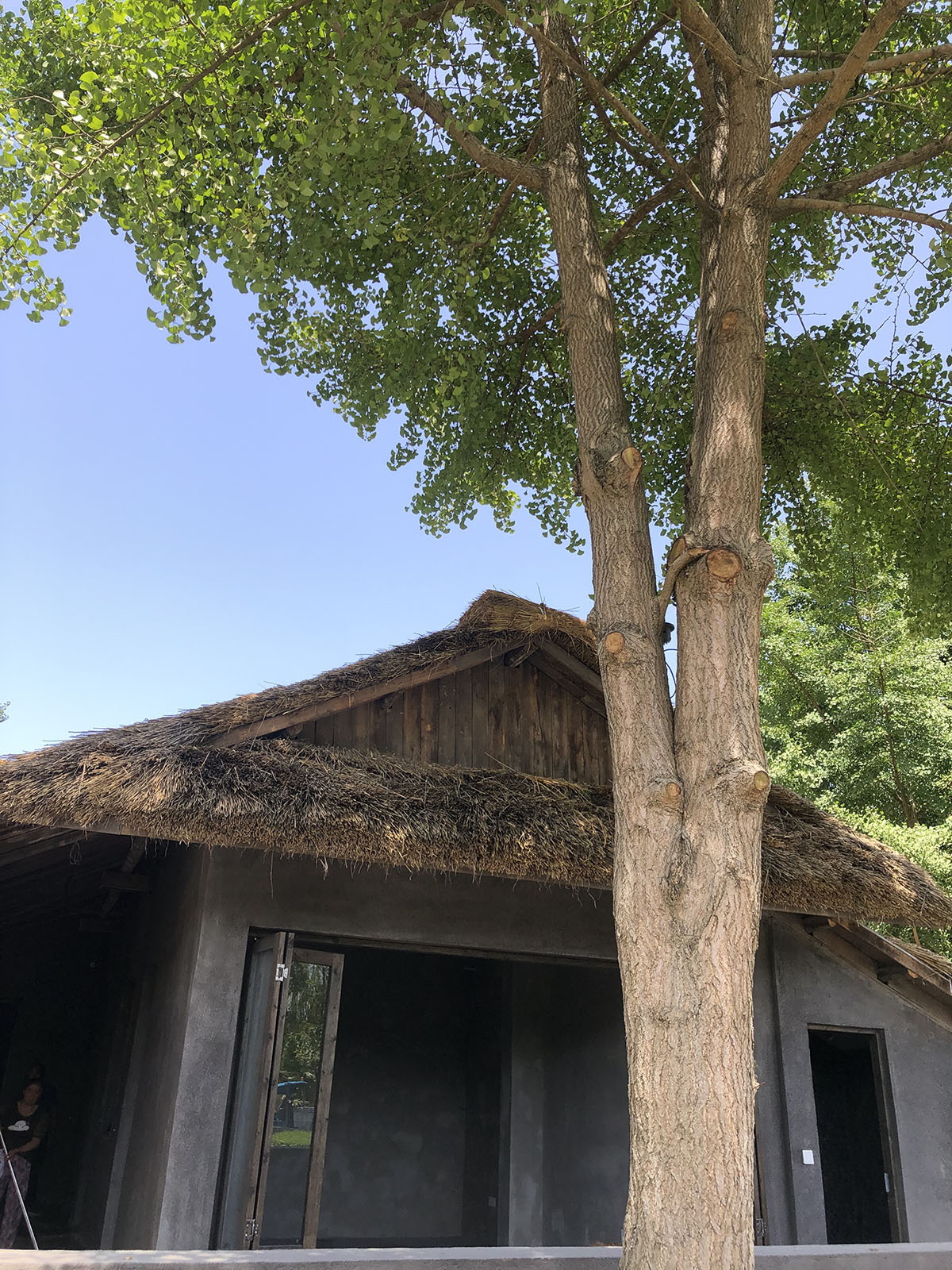 情浓故里 乡情共享 || 成都江油在外人才联谊会刘典华会长出行考察调研(图12)