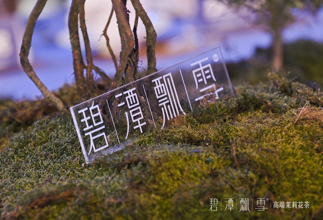 经典传承——第20届徐公三情茶会在成都隆重举行(图6) 经典传承——第20届徐公三情茶会在成都隆重举行(图6)