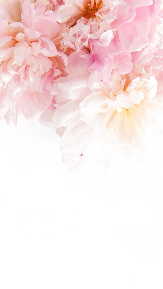 散花楼五人书画联展之邵仲节(图2)